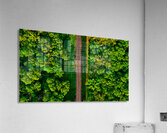 Train Tracks & Trees Acrylic Print