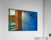 The Watcher Acrylic Print