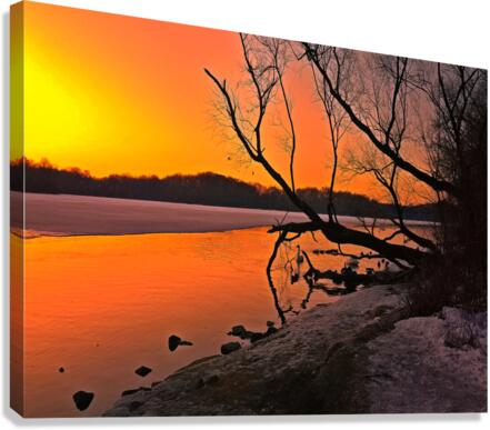 Trumpeter Dawn Canvas Print