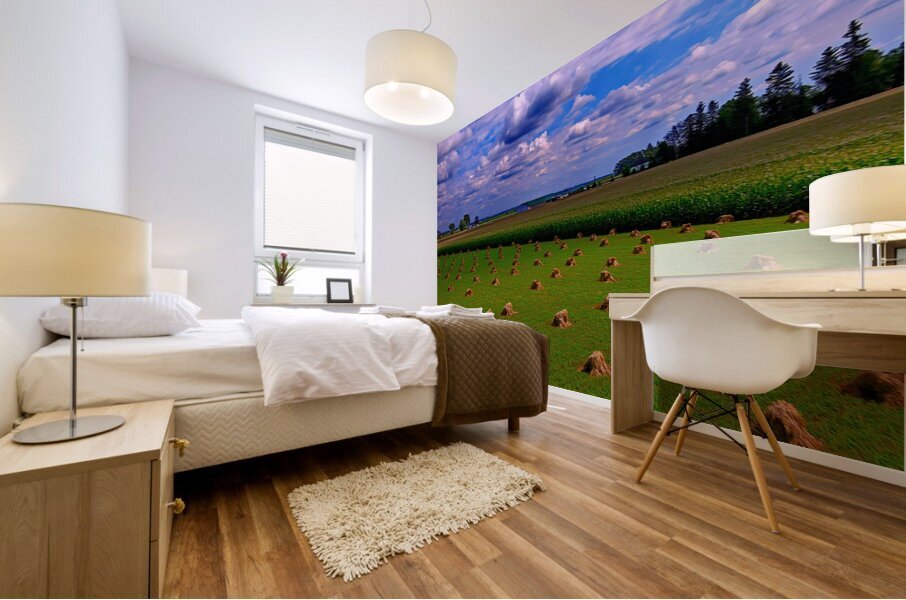 Amish Shocking Oats Mural print