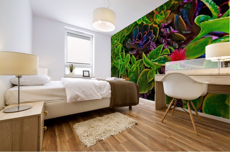Saturated Succulents Mural print