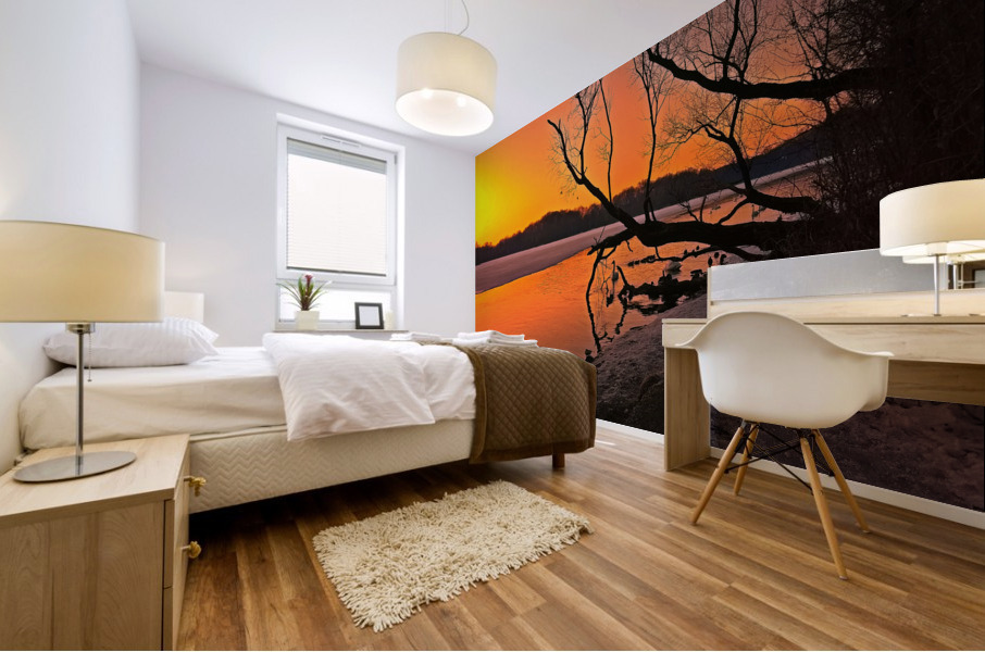 Trumpeter Dawn Mural print