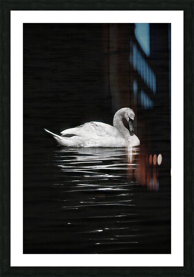 Trumpeter Serenity Picture Frame print
