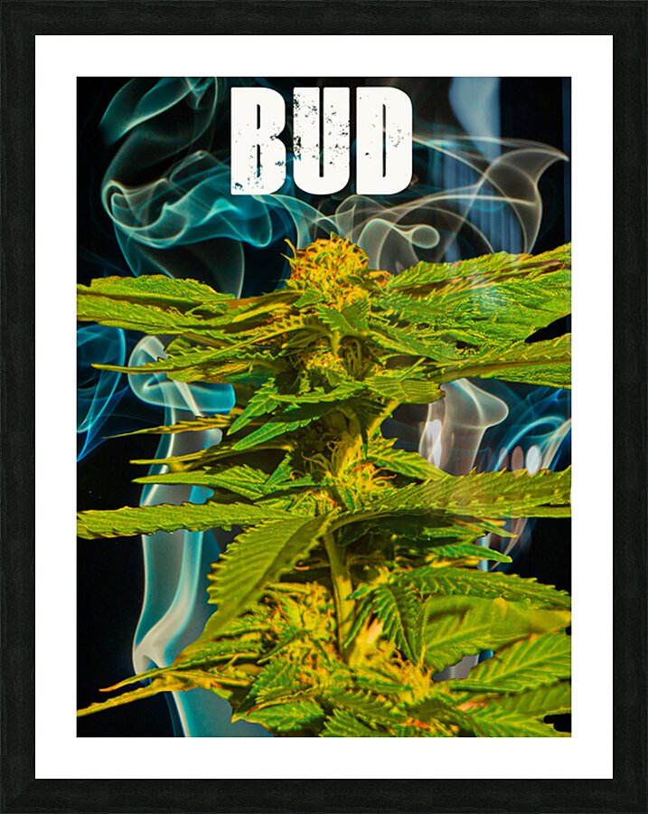 Bud Critical Picture Frame print