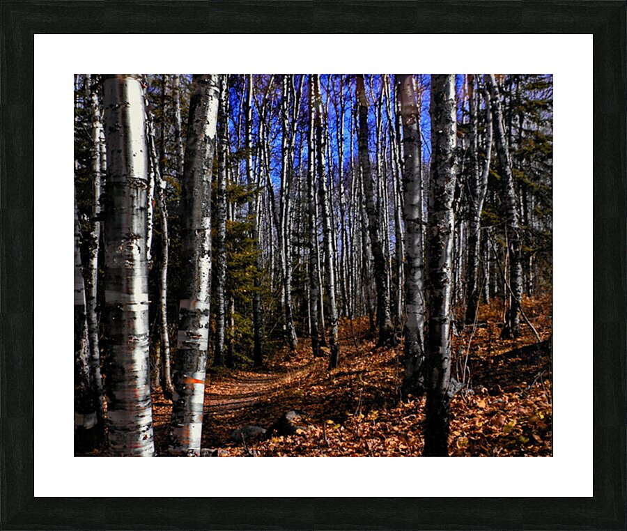 Tettegouche Picture Frame print