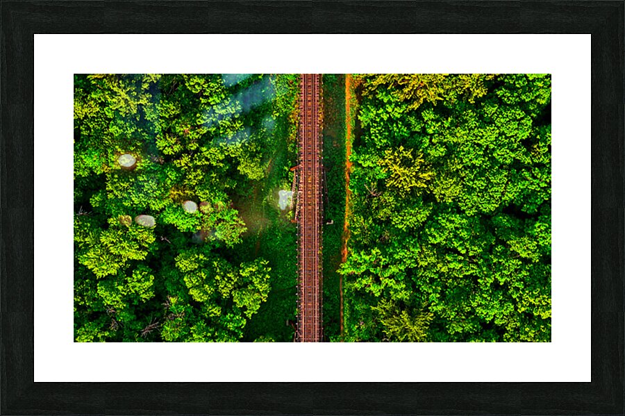 Train Tracks & Trees Picture Frame print