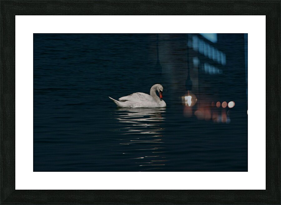 Serenity Picture Frame print