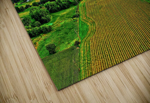 Green Acres UpThereAgain Photography puzzle