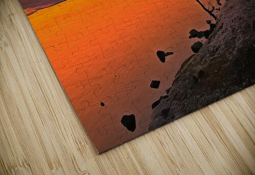 Trumpeter Dawn UpThereAgain Photography puzzle