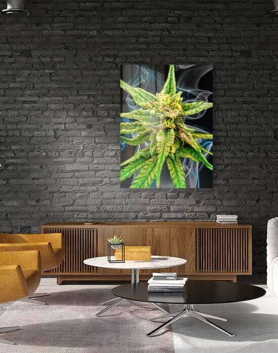 Bud TripleG by UpThereAgain Photography
