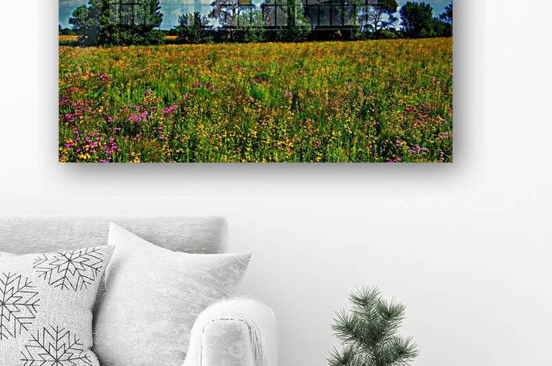 Wild Flower Field of Dreams by UpThereAgain Photography