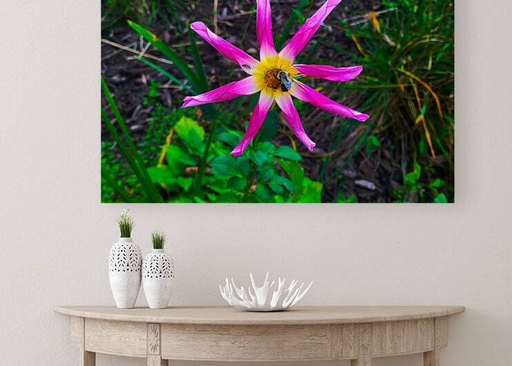 Dahlia Drink - Pollinator & Little Friend by UpThereAgain Photography