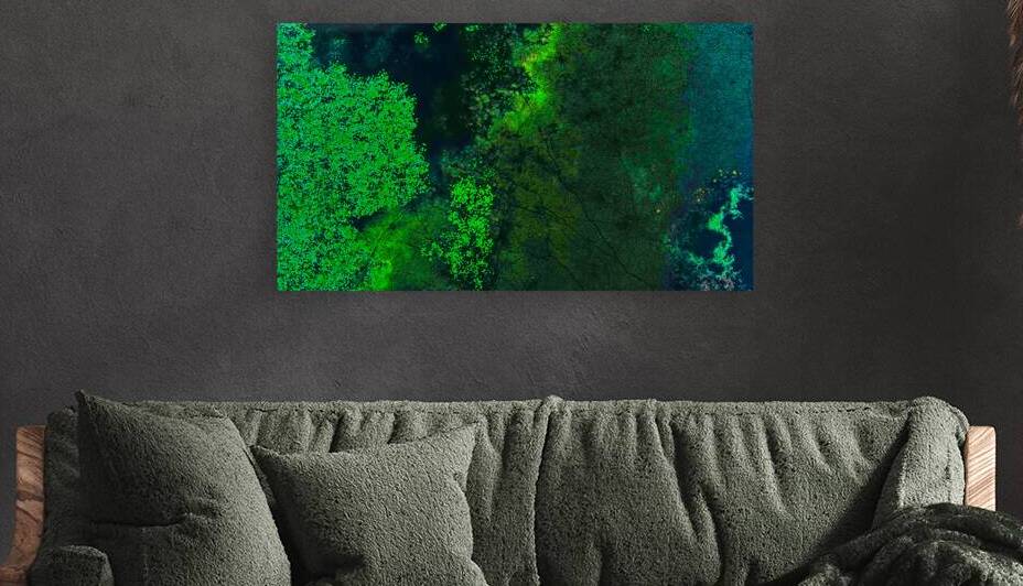 Top Down - Wetlands Beauty by UpThereAgain Photography