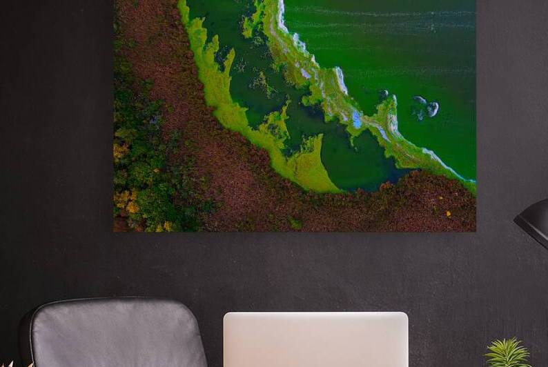 Top Down - Peltier Lake Algae Paint by UpThereAgain Photography