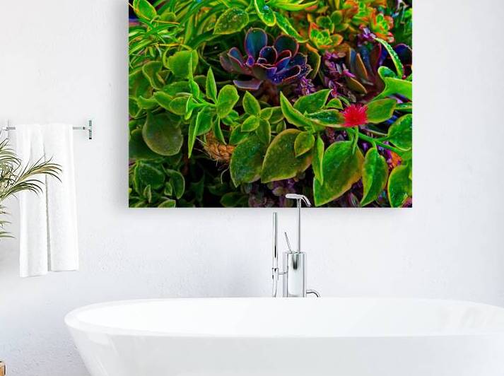 Saturated Succulents by UpThereAgain Photography