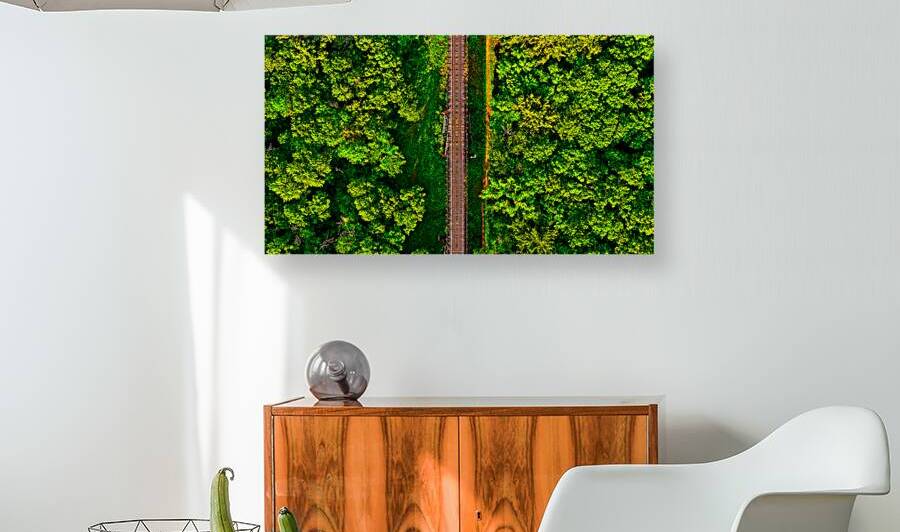 Train Tracks & Trees by UpThereAgain Photography