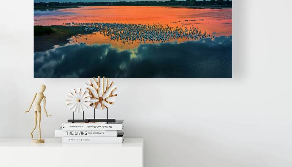 Rice Lake Pelicans II by UpThereAgain Photography
