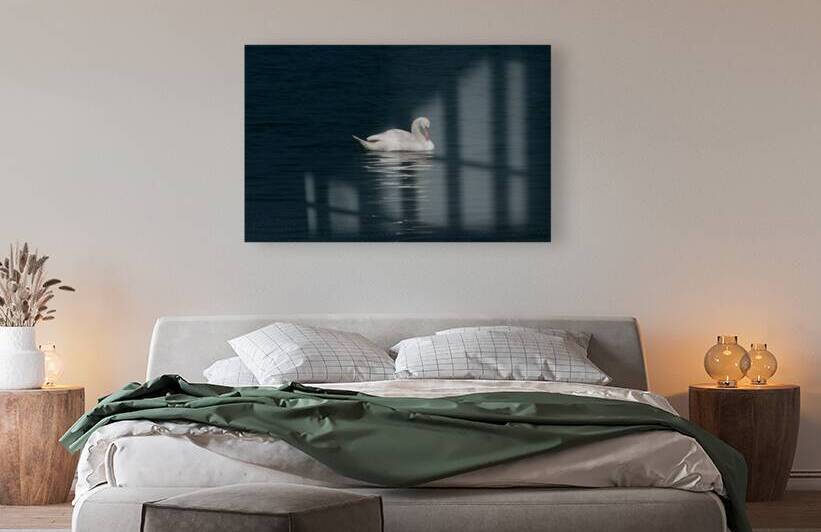 Serenity by UpThereAgain Photography