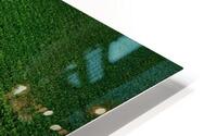Close Bean Field2 HD Metal print