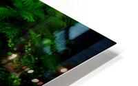 Blue Heron HD Metal print