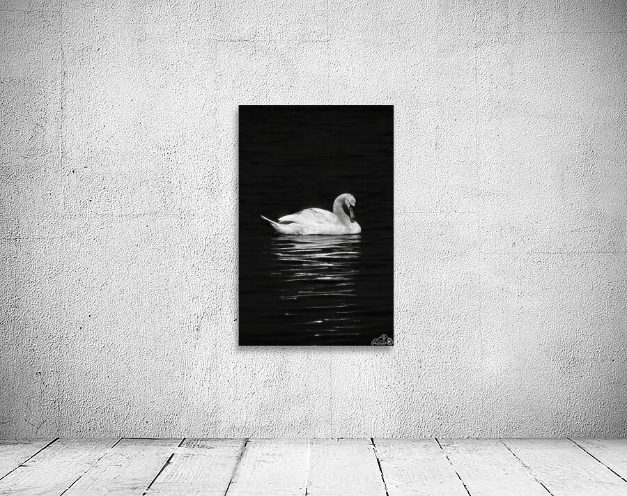 Trumpeter Serenity Wall Preview