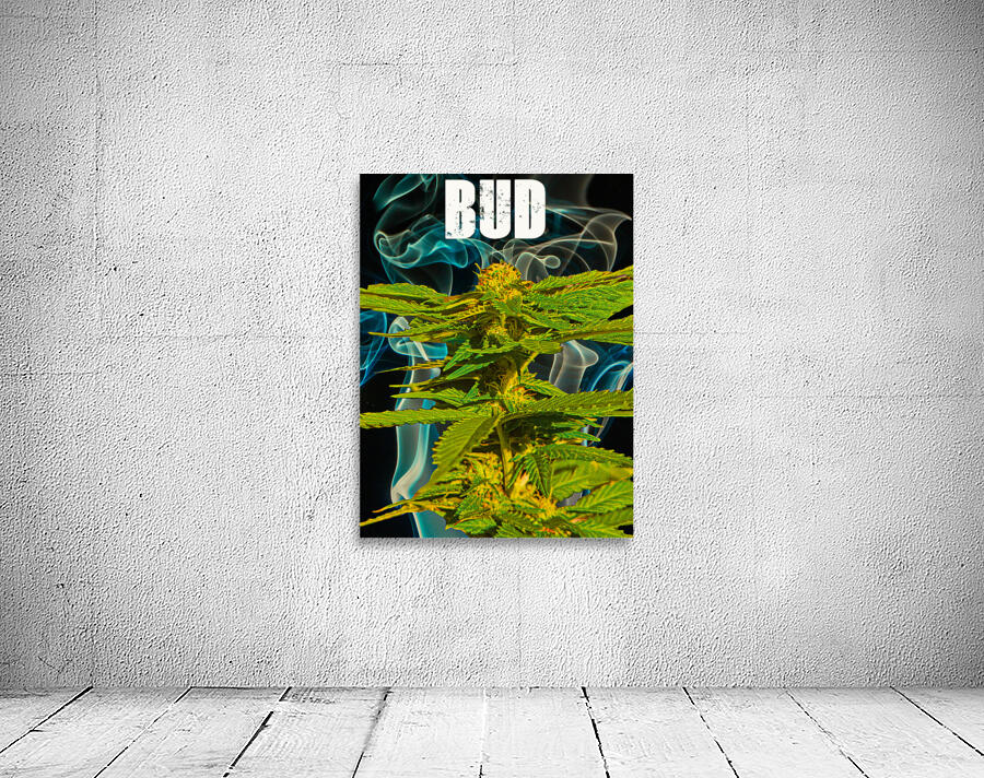 Bud Critical Wall Preview