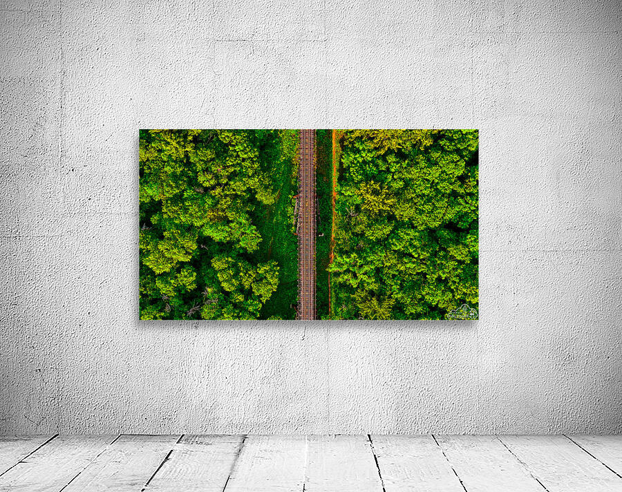 Train Tracks & Trees Wall Preview