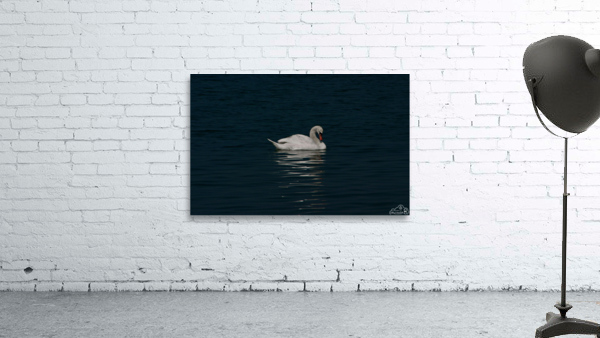 Serenity Wall Preview