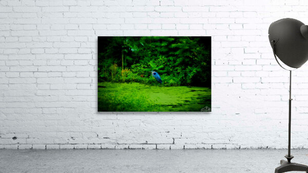 Blue Heron Wall Preview