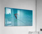 Sea Gull Adventure Acrylic Print