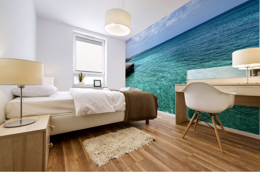 Aruba Waters Mural print