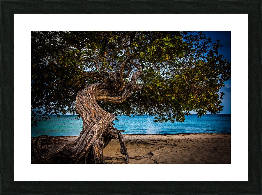 Divi Tree  Picture Frame print