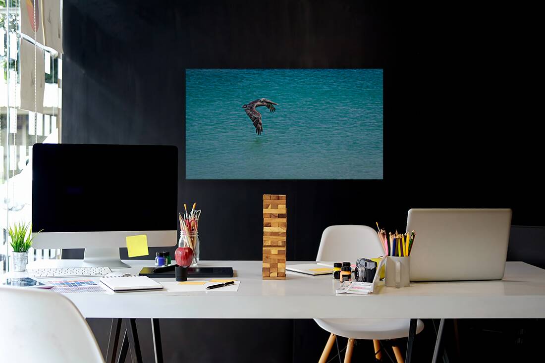 Sea Gull Adventure Reproduction