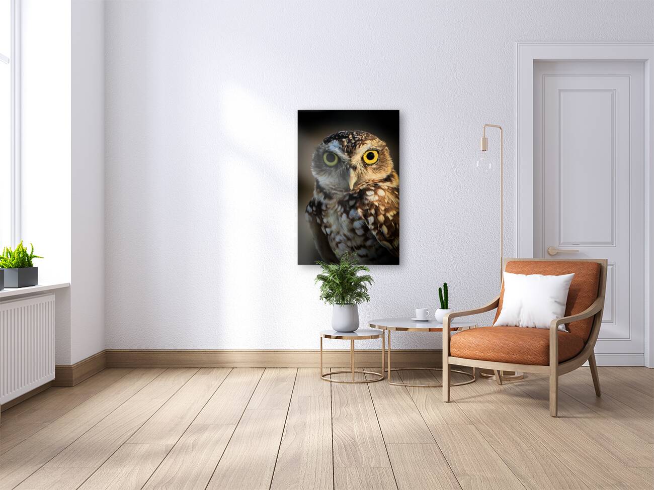 Owl Reproduction