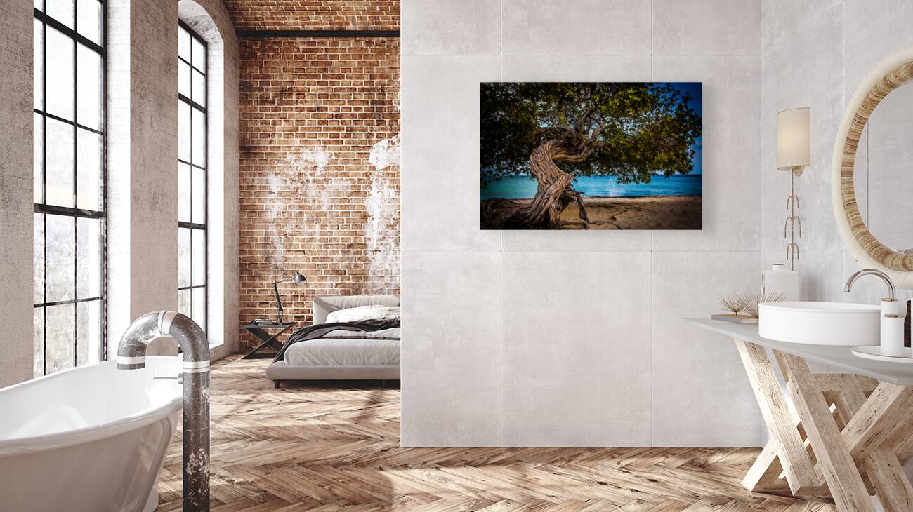 Divi Tree  Reproduction