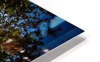 Divi Tree  HD Metal print