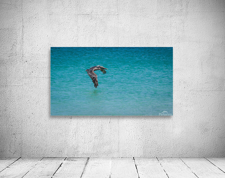 Sea Gull Adventure Wall Preview