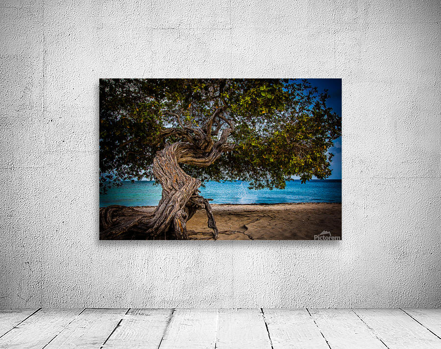 Divi Tree  Wall Preview