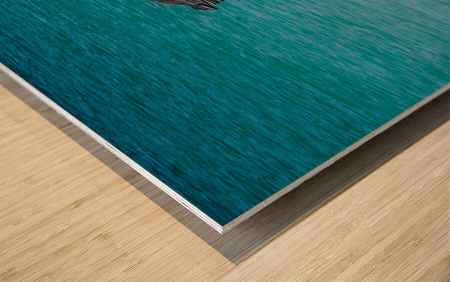 Sea Gull Adventure Wood print