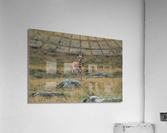 Young Antelope Acrylic Print