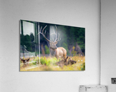 Watching over the Herd Acrylic Print