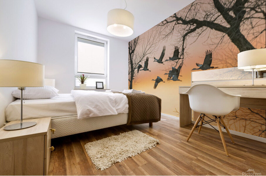 Evening Flight Mural print