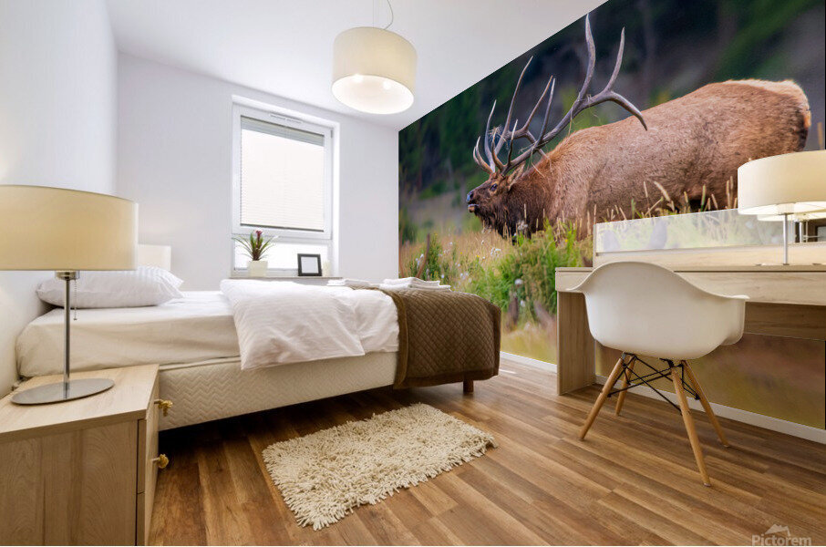 Elk Bugling Mural print