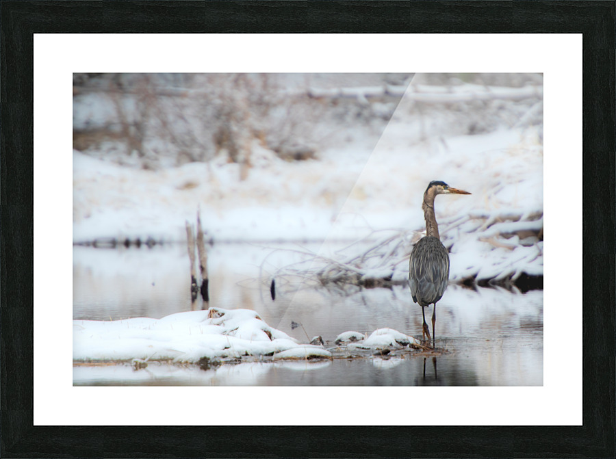 Iced Breakfast Picture Frame print