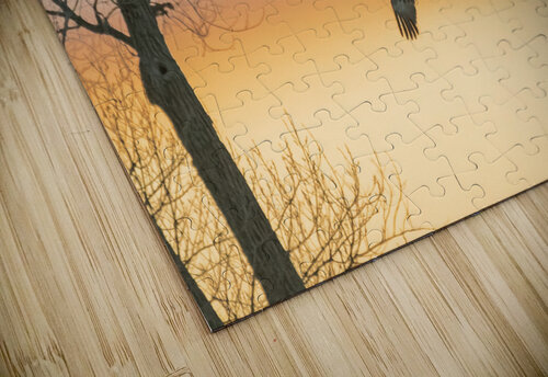 Evening Flight Philip Sanders puzzle