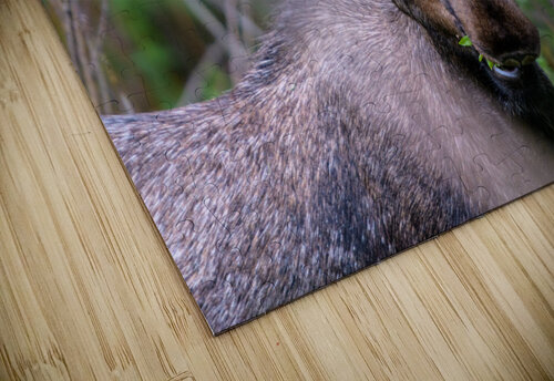 Evening Snack Philip Sanders puzzle