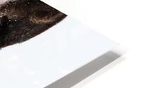 The Long Winter HD Metal print