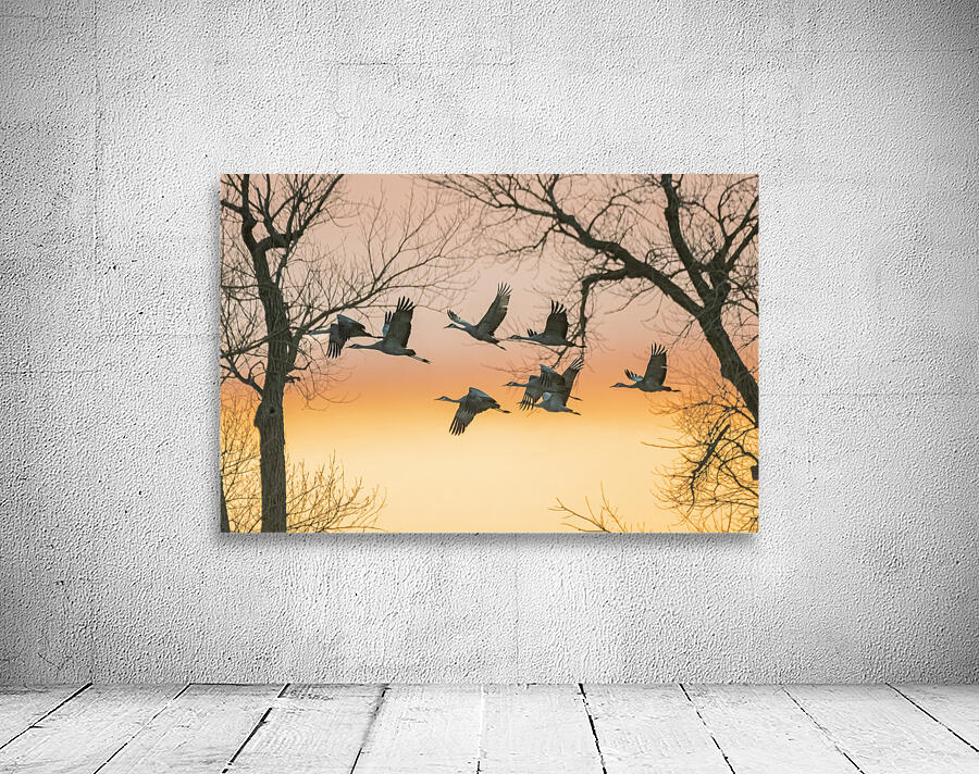 Evening Flight Wall Preview