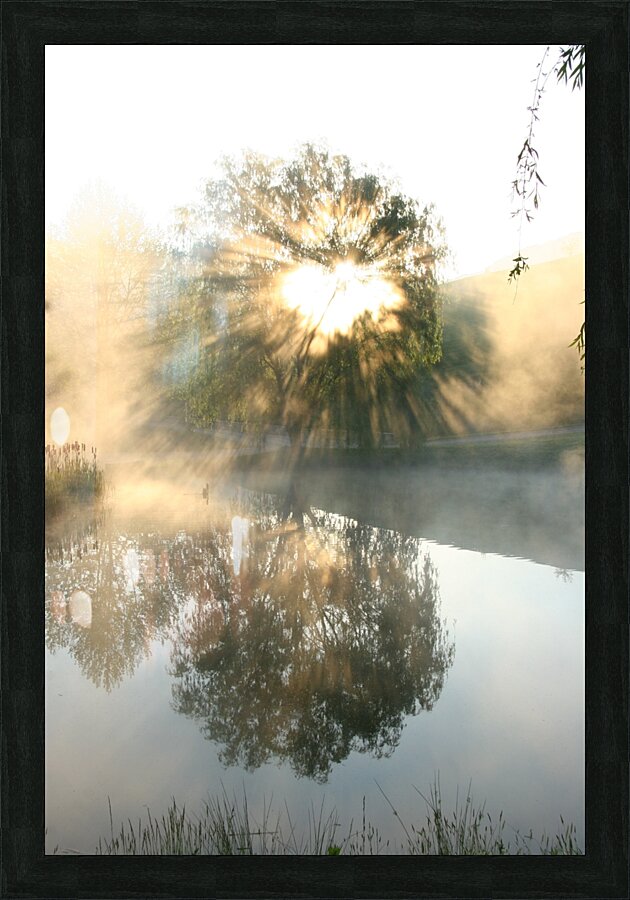 Let There Be Light Picture Frame print
