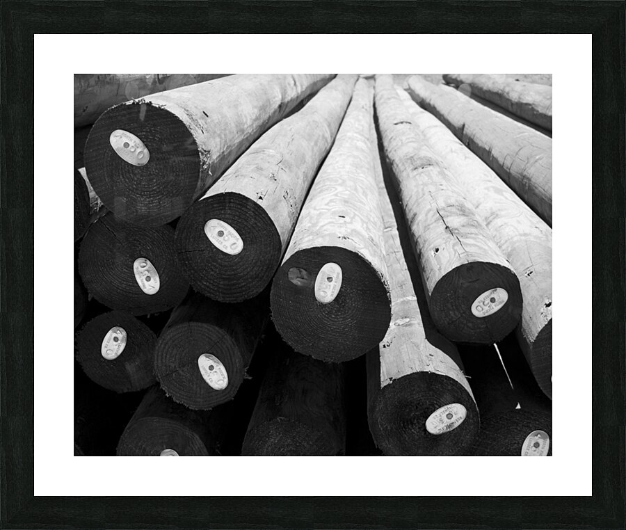 Timber Picture Frame print